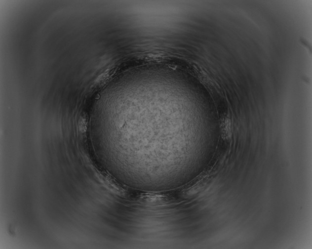 X0000093110472200710171226