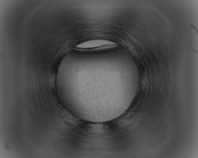 X0000093110473200710171226