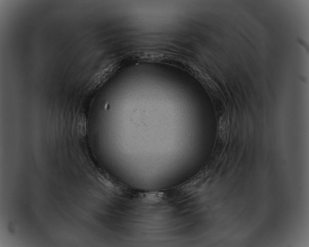 X0000093110474200710171226