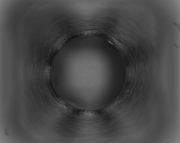 X0000093110475200710171226