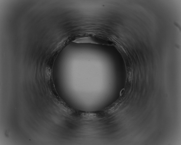 X0000093110476200710171226