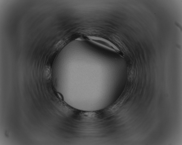 X0000093110478200710171226