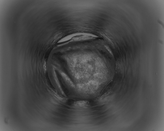 X0000093110479200710171227