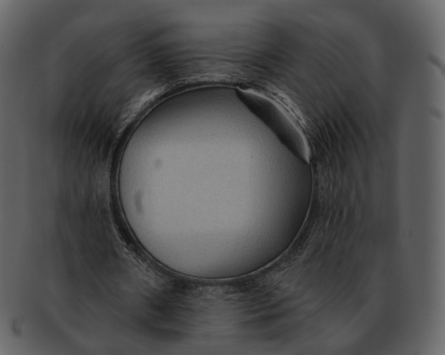 X0000093110482200710171226