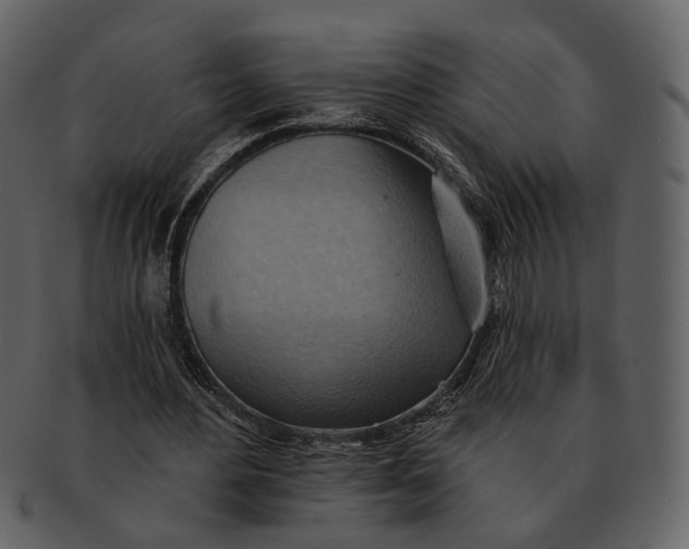 X0000093110484200710171226