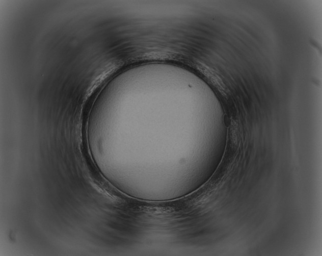 X0000093110486200710171226