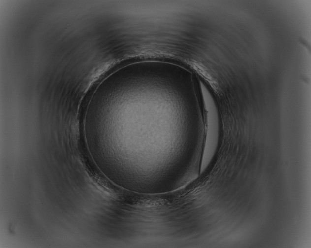 X0000093110488200710171226