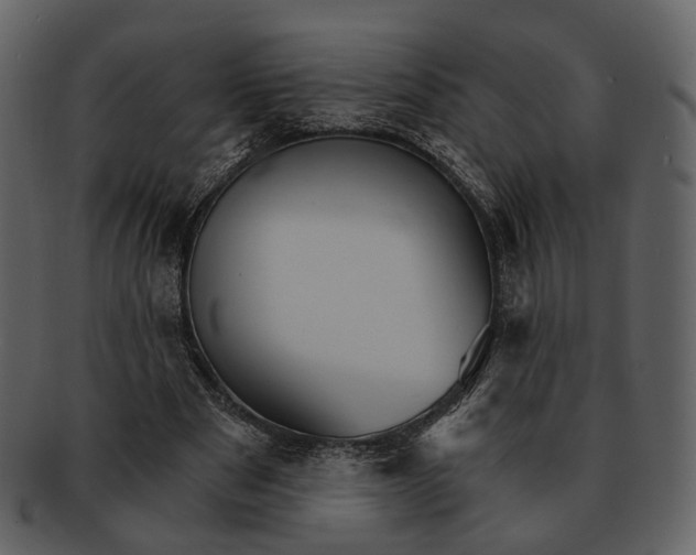 X0000093110489200710171226