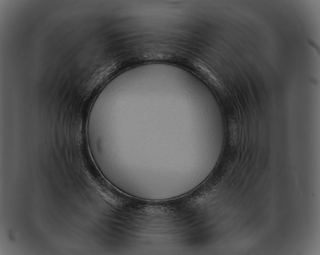 X0000093110490200710171226