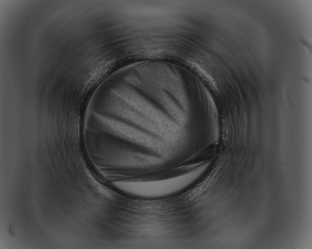 X0000093110493200710171226