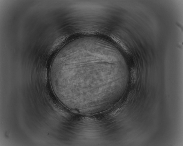 X0000093110494200710171226