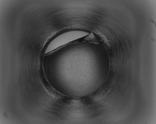 X0000093110496200710171226