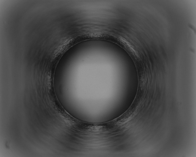 X0000093110497200710171226