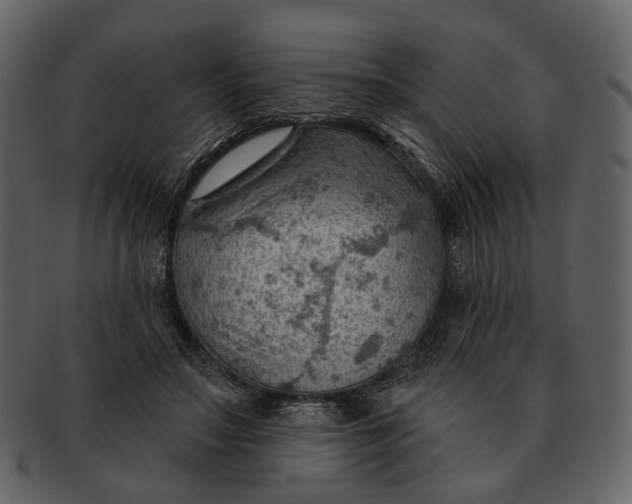 X0000093110499200710171226