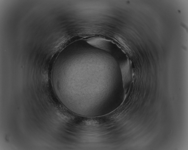 X0000093110500200710171226