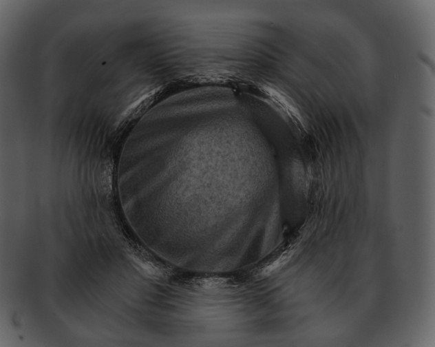 X0000093110501200710171226