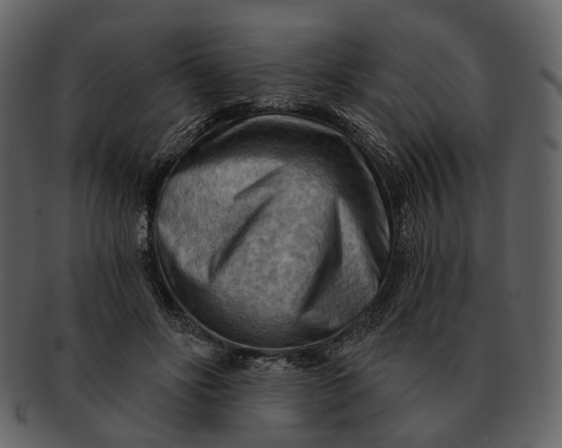 X0000093110502200710171226