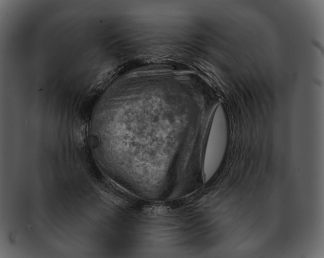 X0000093110503200710171226