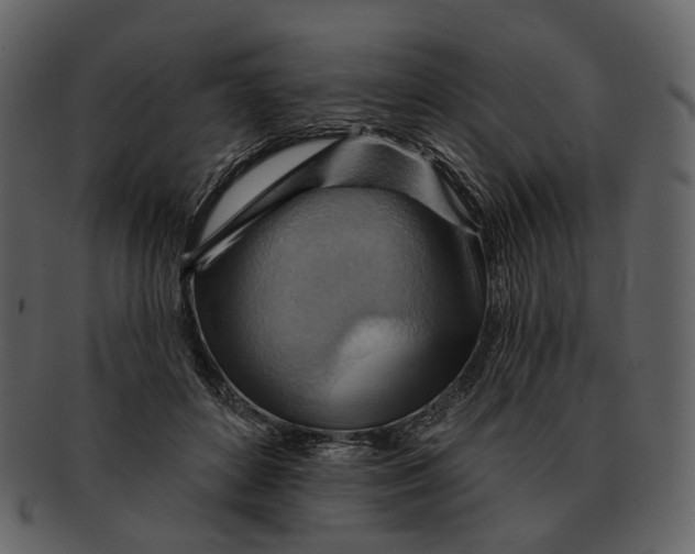 X0000093110504200710171226