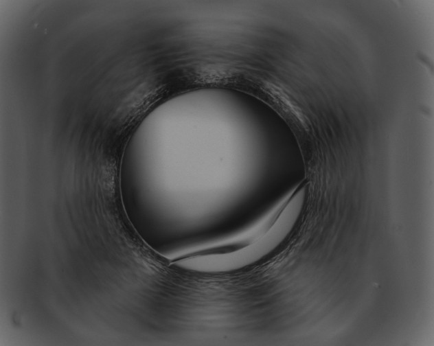 X0000093110505200710171226