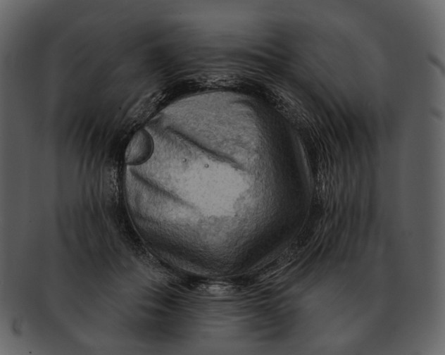 X0000093110506200710171226