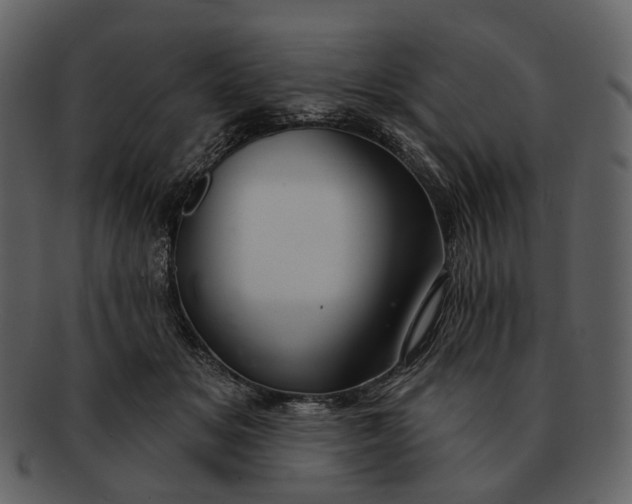 X0000093110509200710171225