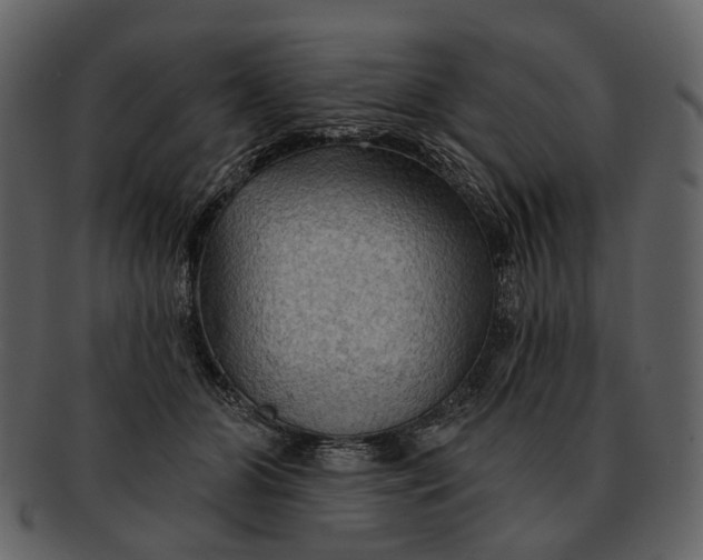 X0000093110510200710171225