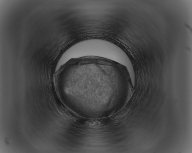 X0000093110512200710171225