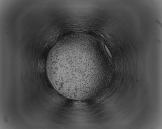 X0000093110515200710171225