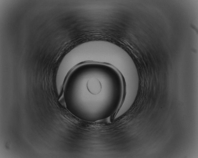 X0000093110516200710171225