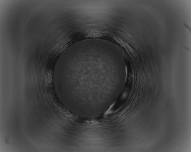 X0000093110517200710171225