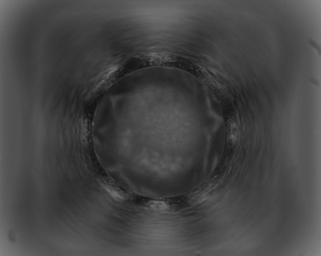 X0000093110519200710171225