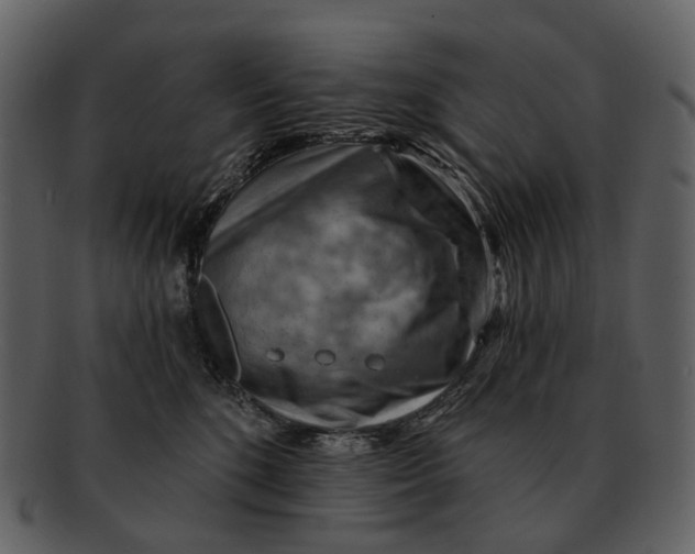 X0000093110520200710171225