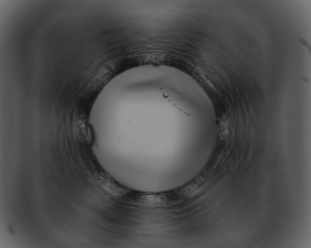 X0000093110522200710171225