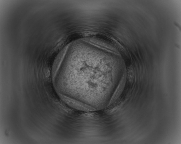 X0000093110523200710171225