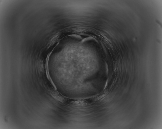 X0000093110524200710171225