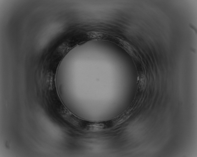 X0000093110525200710171225