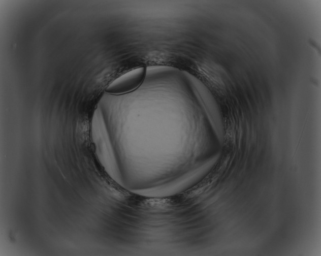 X0000093110526200710171225