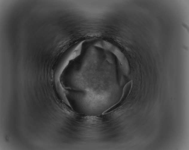 X0000093110528200710171225