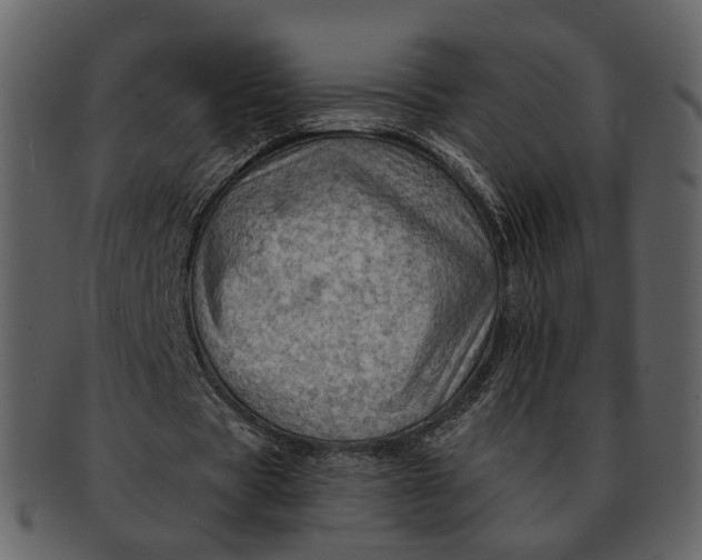 X0000093110529200710171225