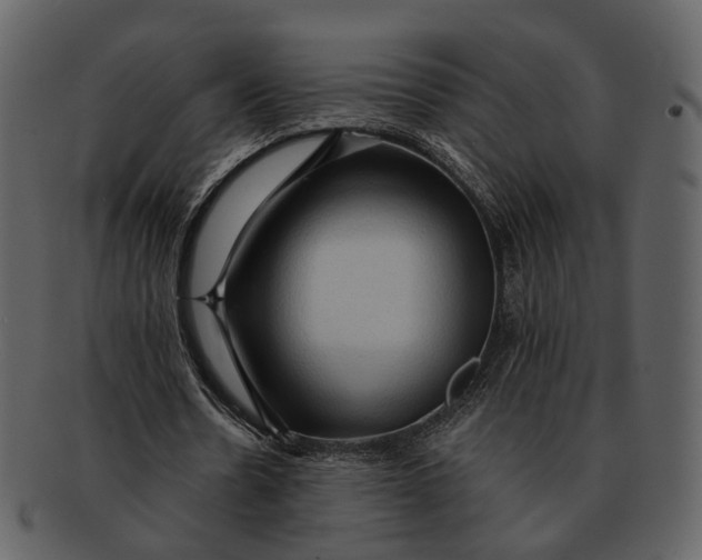 X0000093110530200710171225