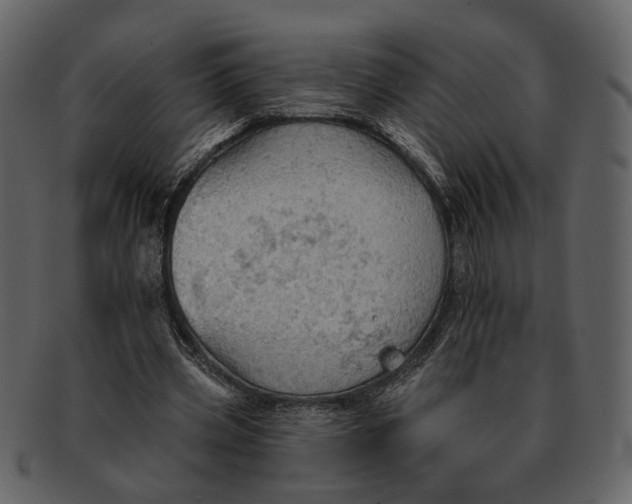 X0000093110533200710171225