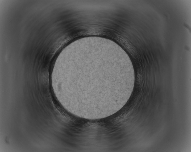 X0000093110534200710171225