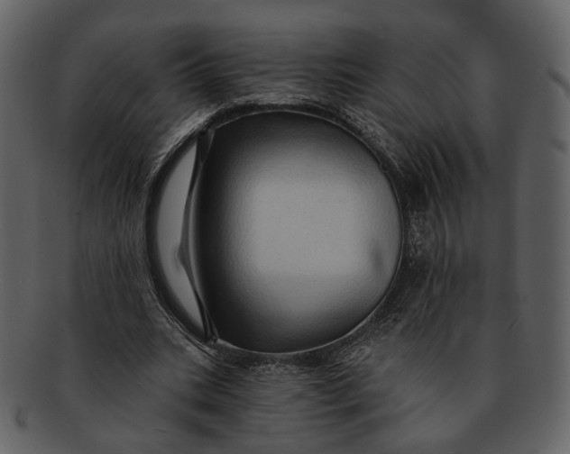 X0000093110535200710171225