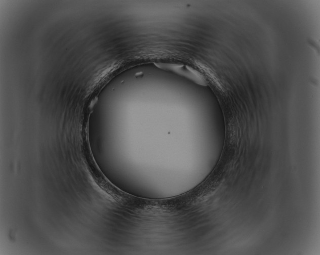 X0000093110538200710171225