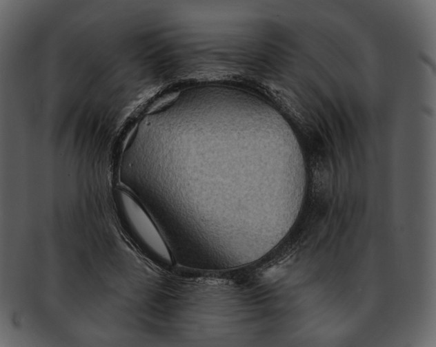 X0000093110539200710171225