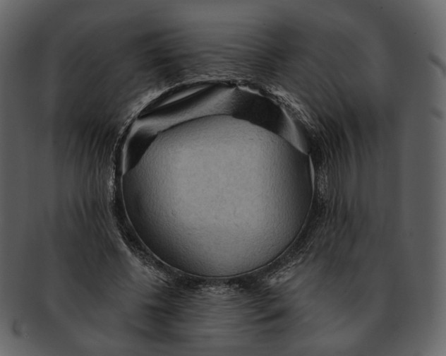 X0000093110540200710171225