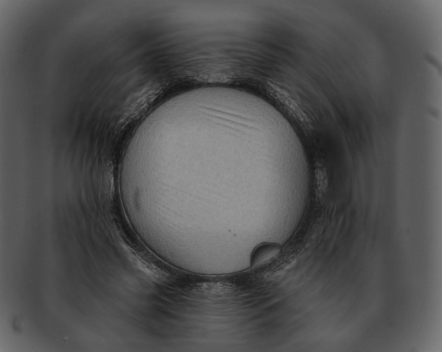 X0000093110541200710171225