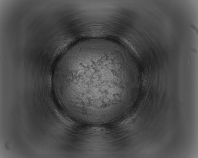 X0000093110542200710171225