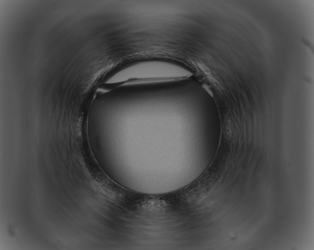 X0000093110543200710171225